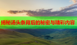 揭秘汤头条背后的秘密与精彩内容