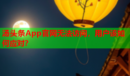 汤头条App官网无法访问，用户该如何应对？