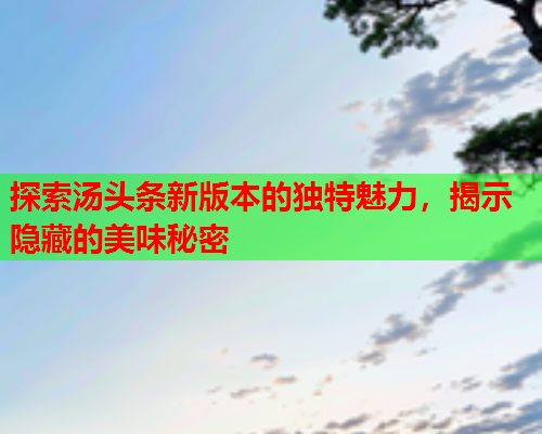 探索汤头条新版本的独特魅力，揭示隐藏的美味秘密